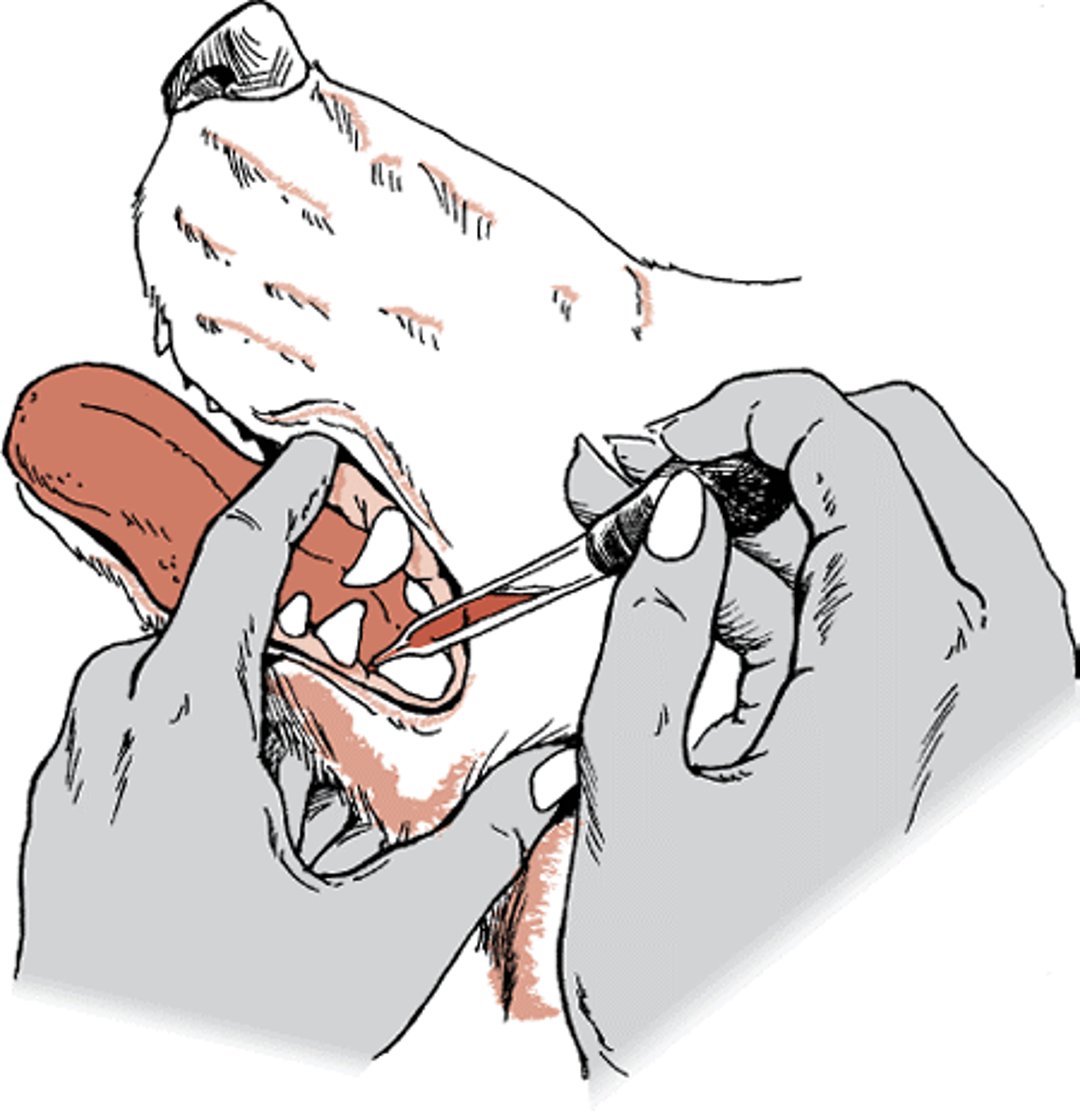 Administering liquid medicine