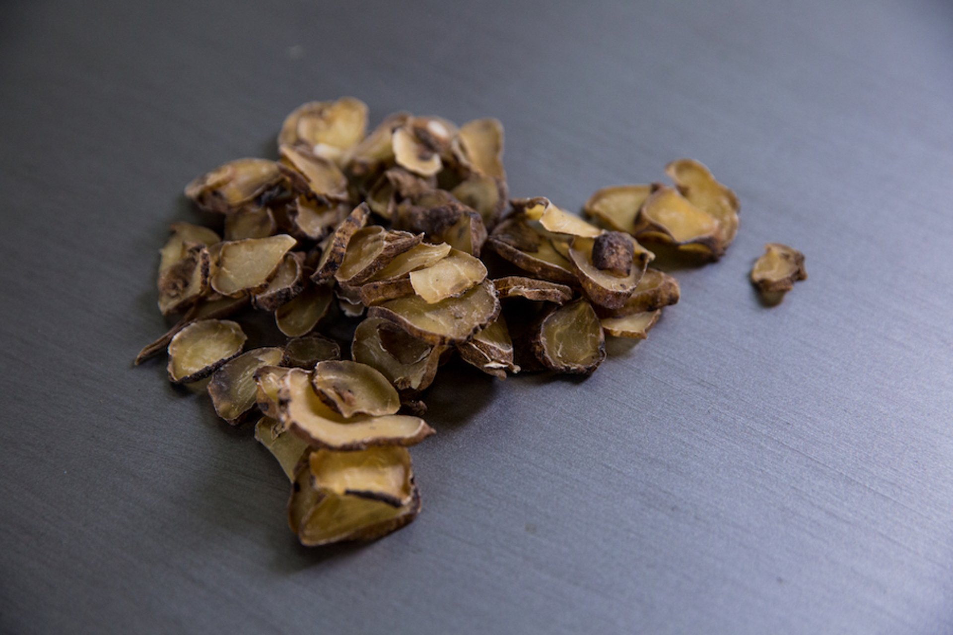 Dried, sliced aconite (<i >Aconitum carmichaelii</i>) root, Chinese herb