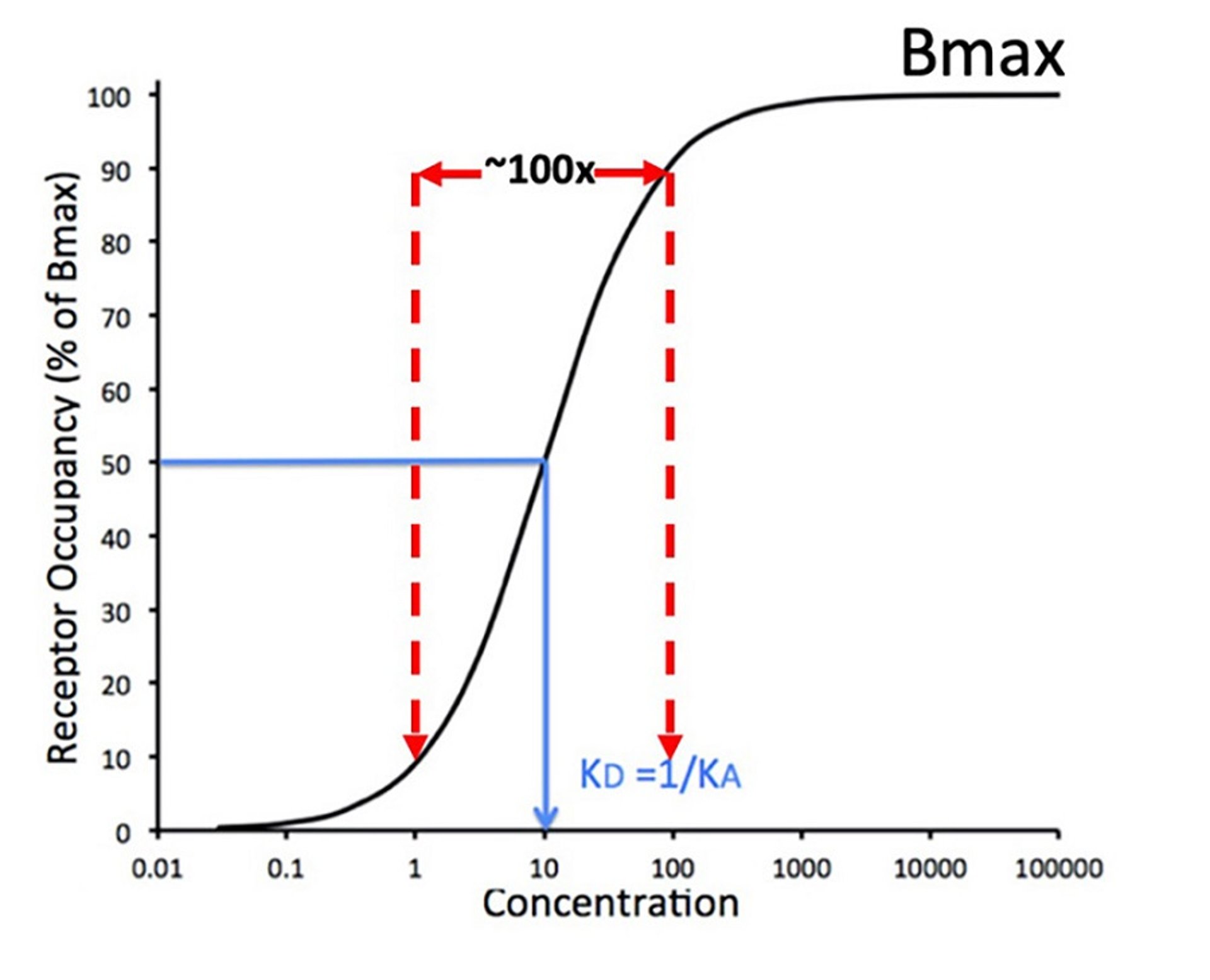 Drug-receptor binding dose-response curve
