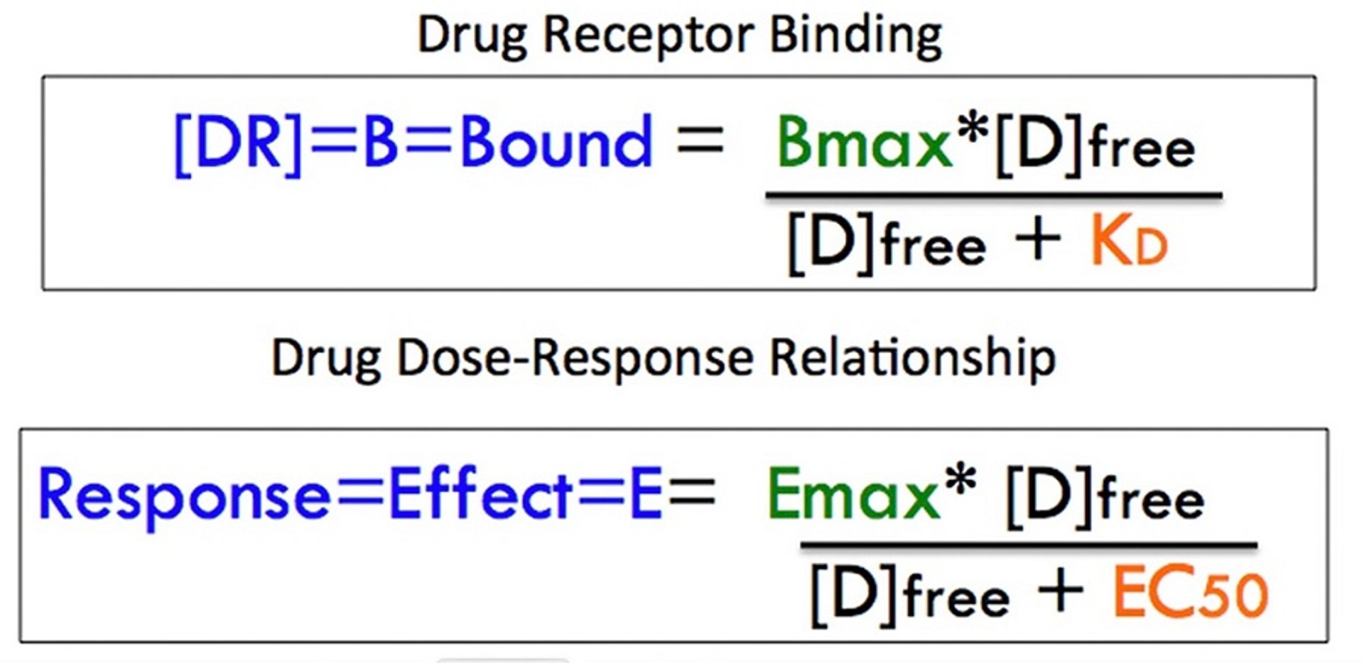 Comparison of drug-receptor binding to drug dose-response relationship