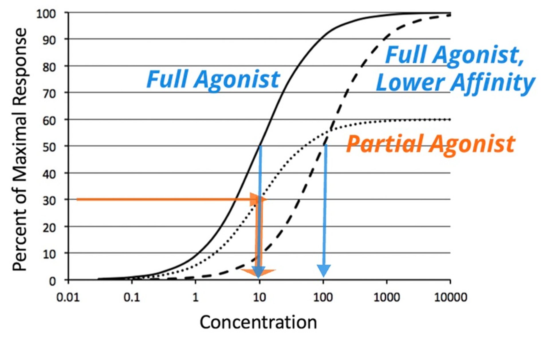 Log-concentration vs response curves