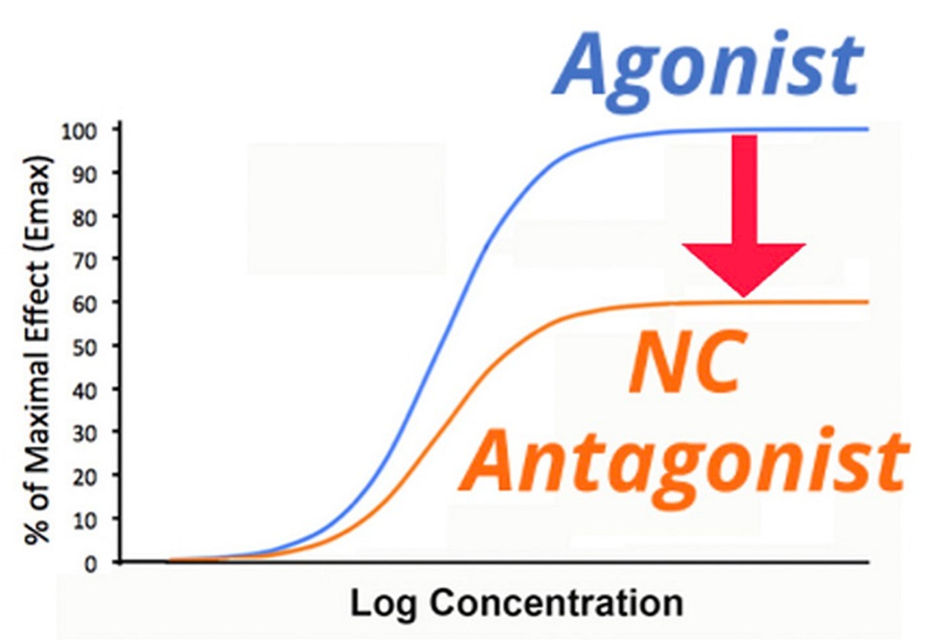 Effect of non-competitive antagonist on dose-response relationship