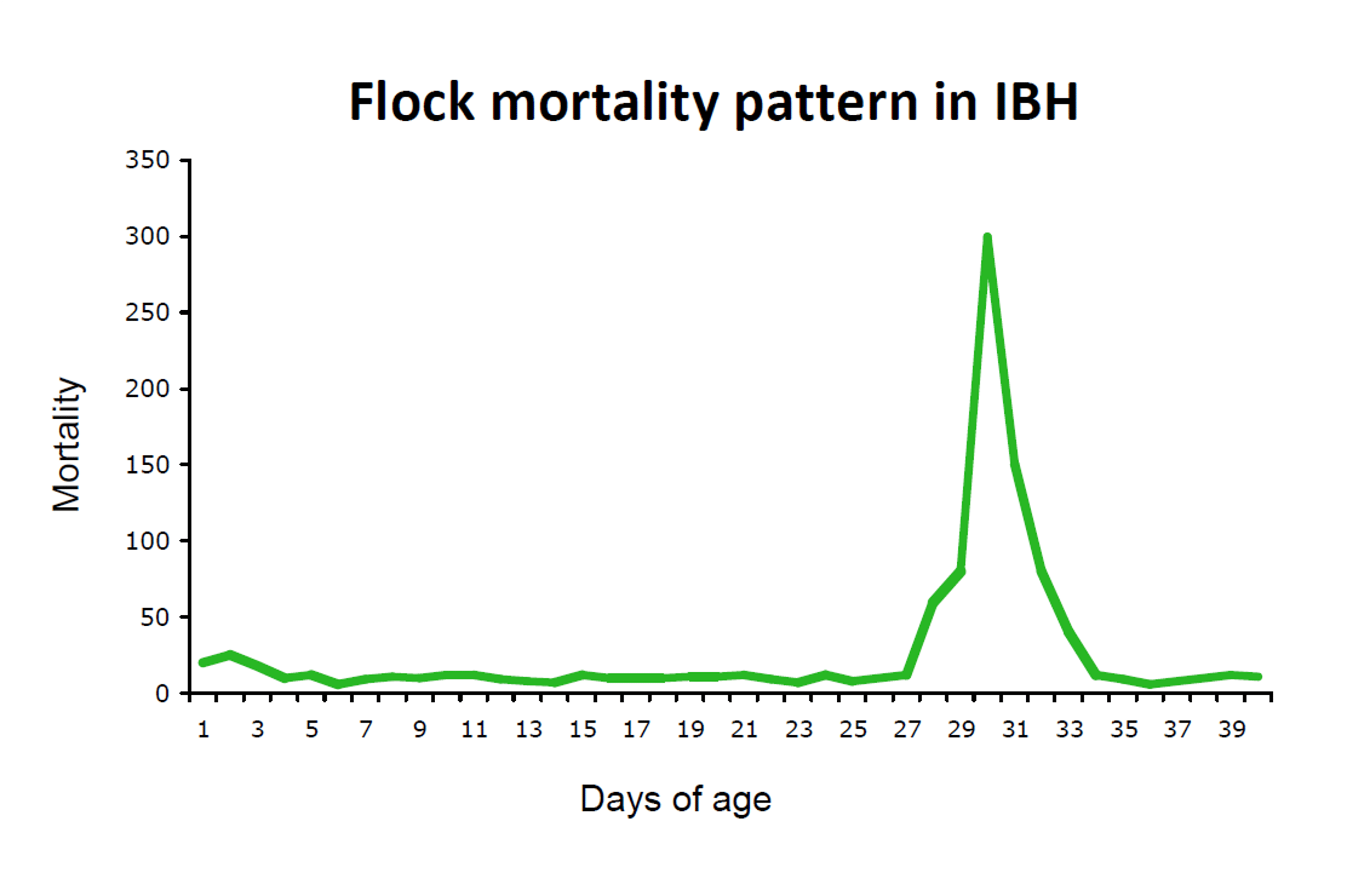 Flock mortality pattern, IBH