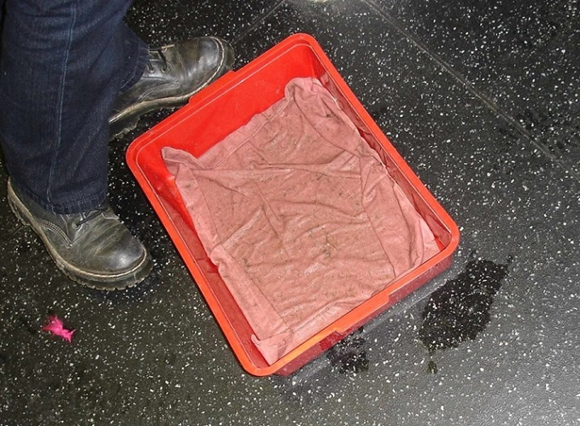Foot bath in a veterinary surgical center