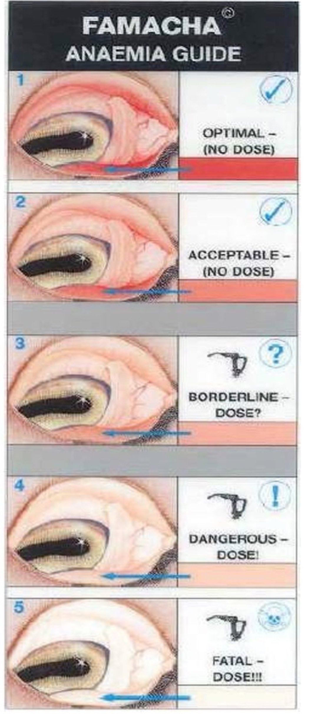 FAMACHA card for parasite detection in small ruminants
