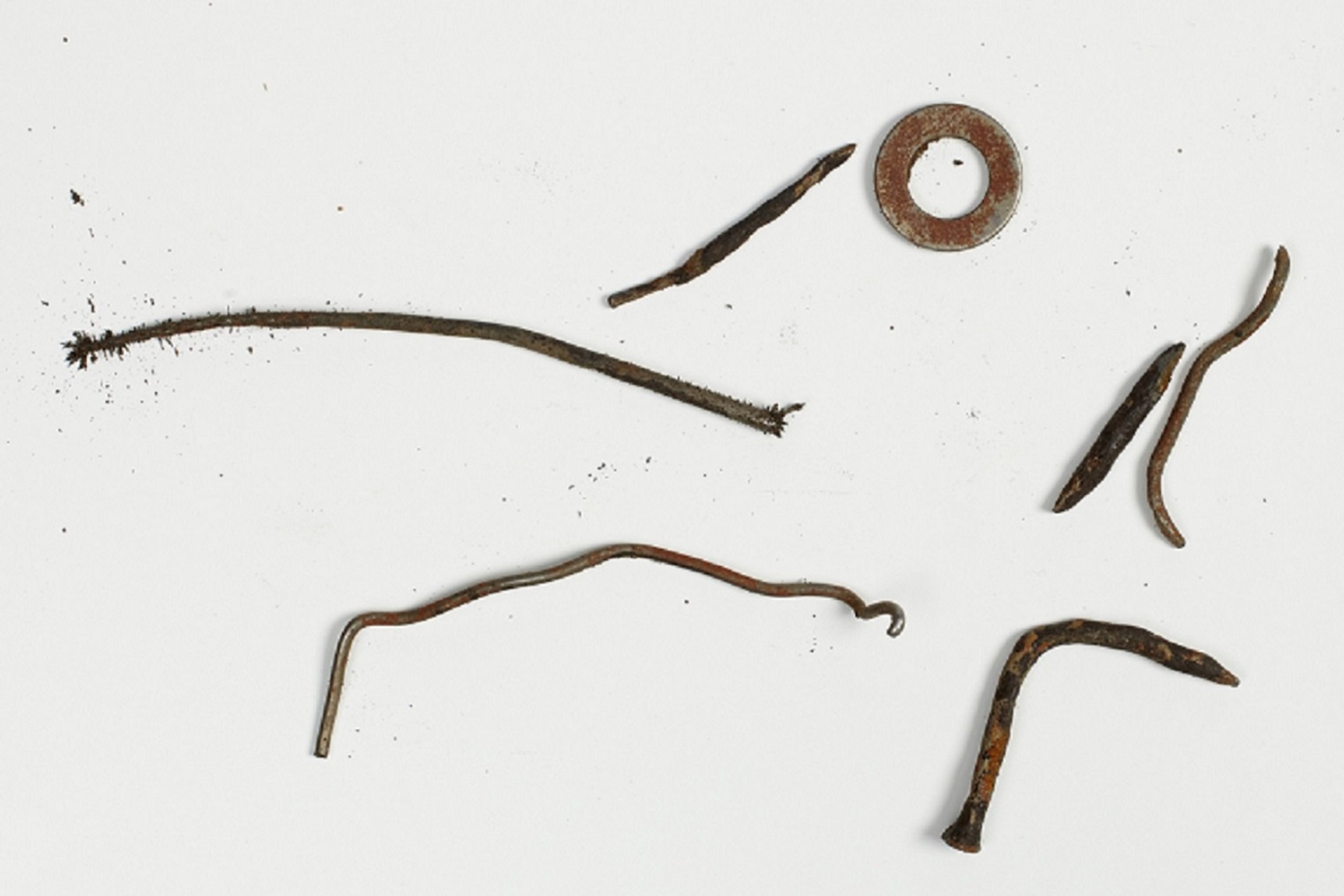 Cuerpos extraños en la reticuloperitonitis traumática, vaca
