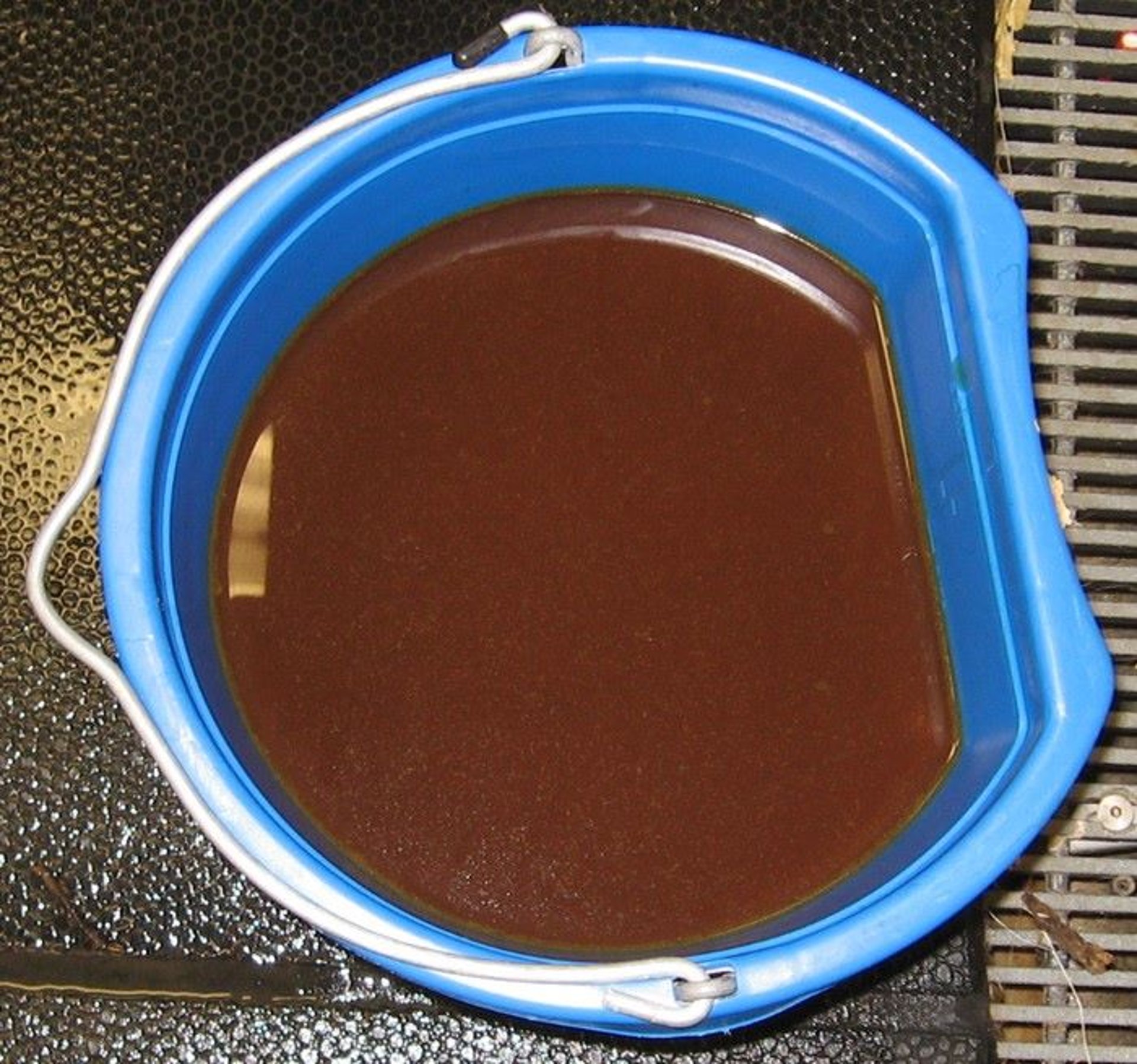 Hemorrhagic nasogastric reflux, horse