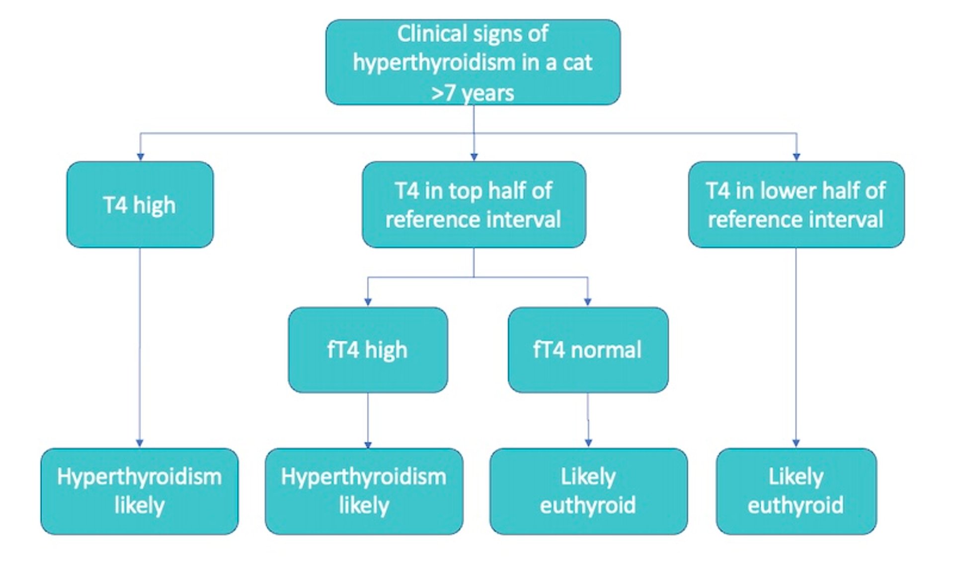 Diagnóstico del hipertiroidismo, gatos