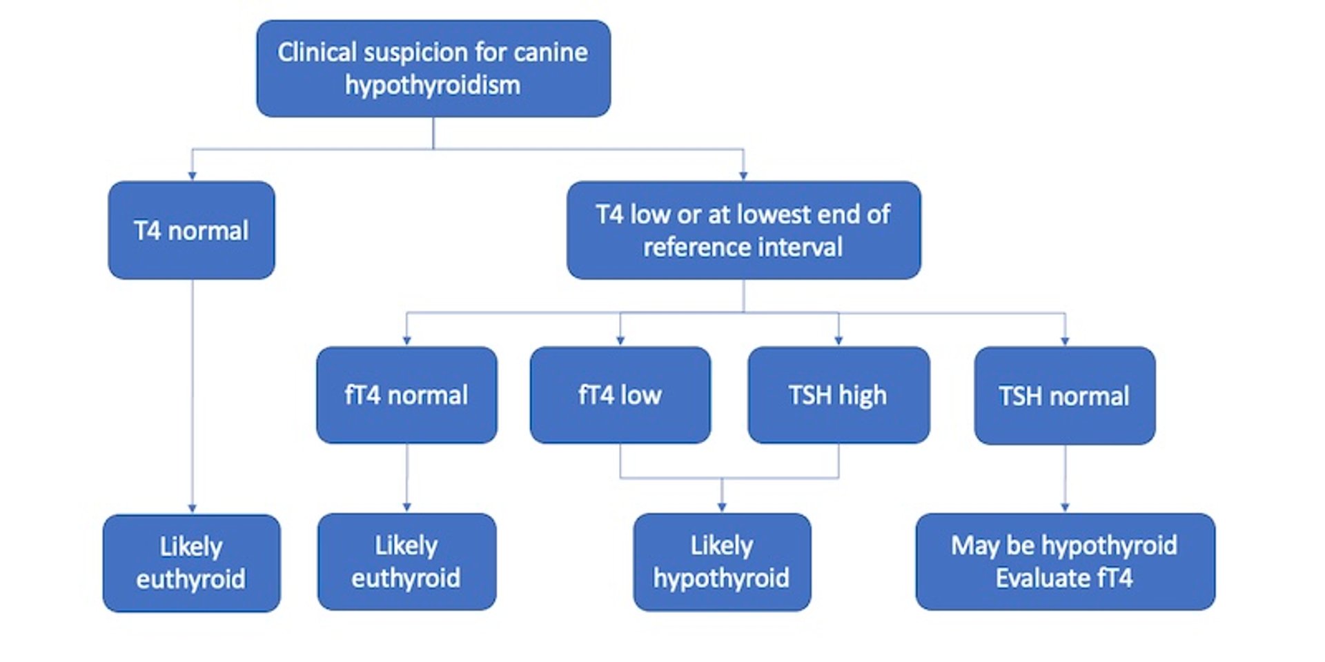 Hypothyroidism diagnosis, dogs