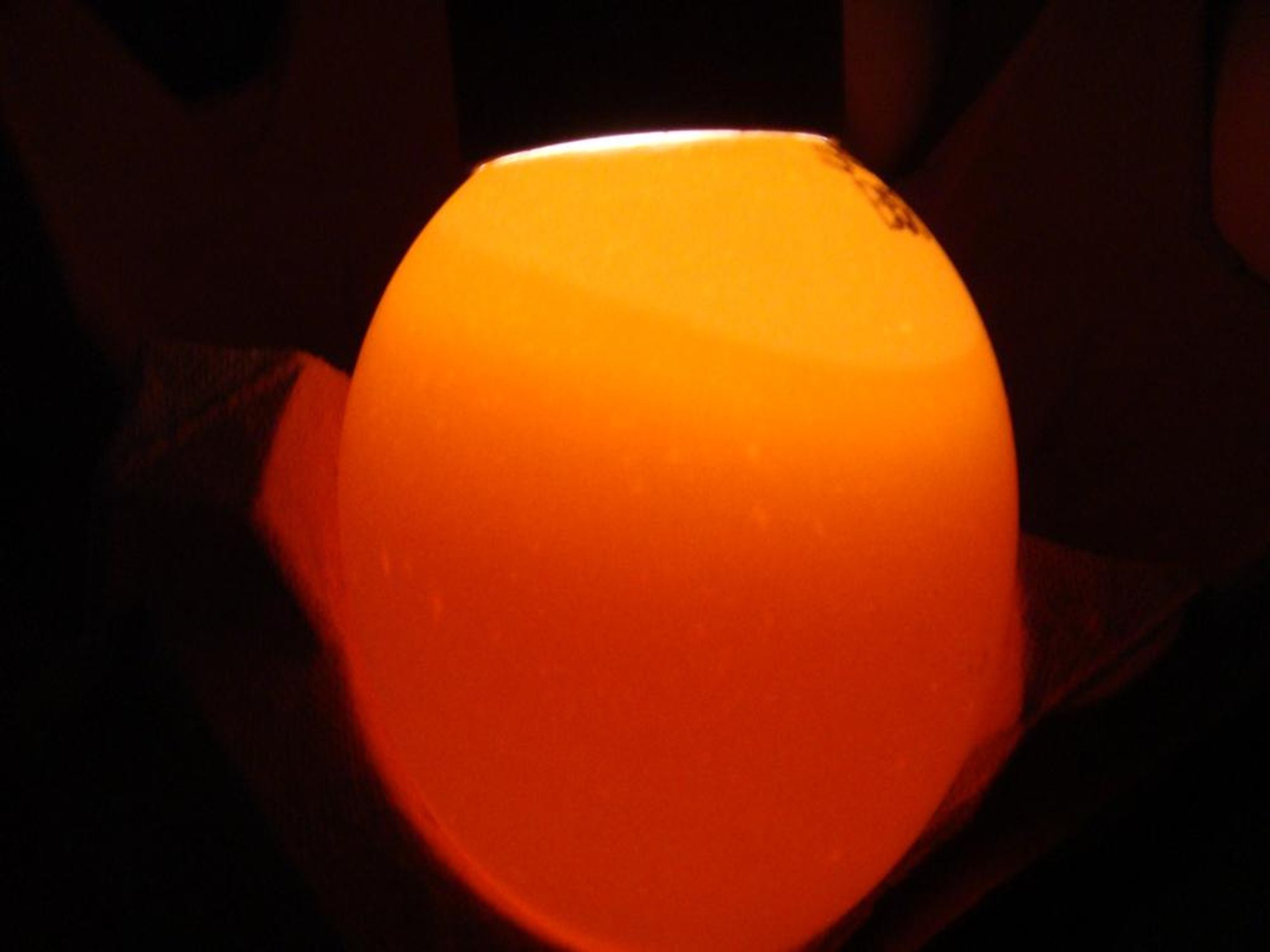 Huevo de gallina infértil, transparente al trasluz.