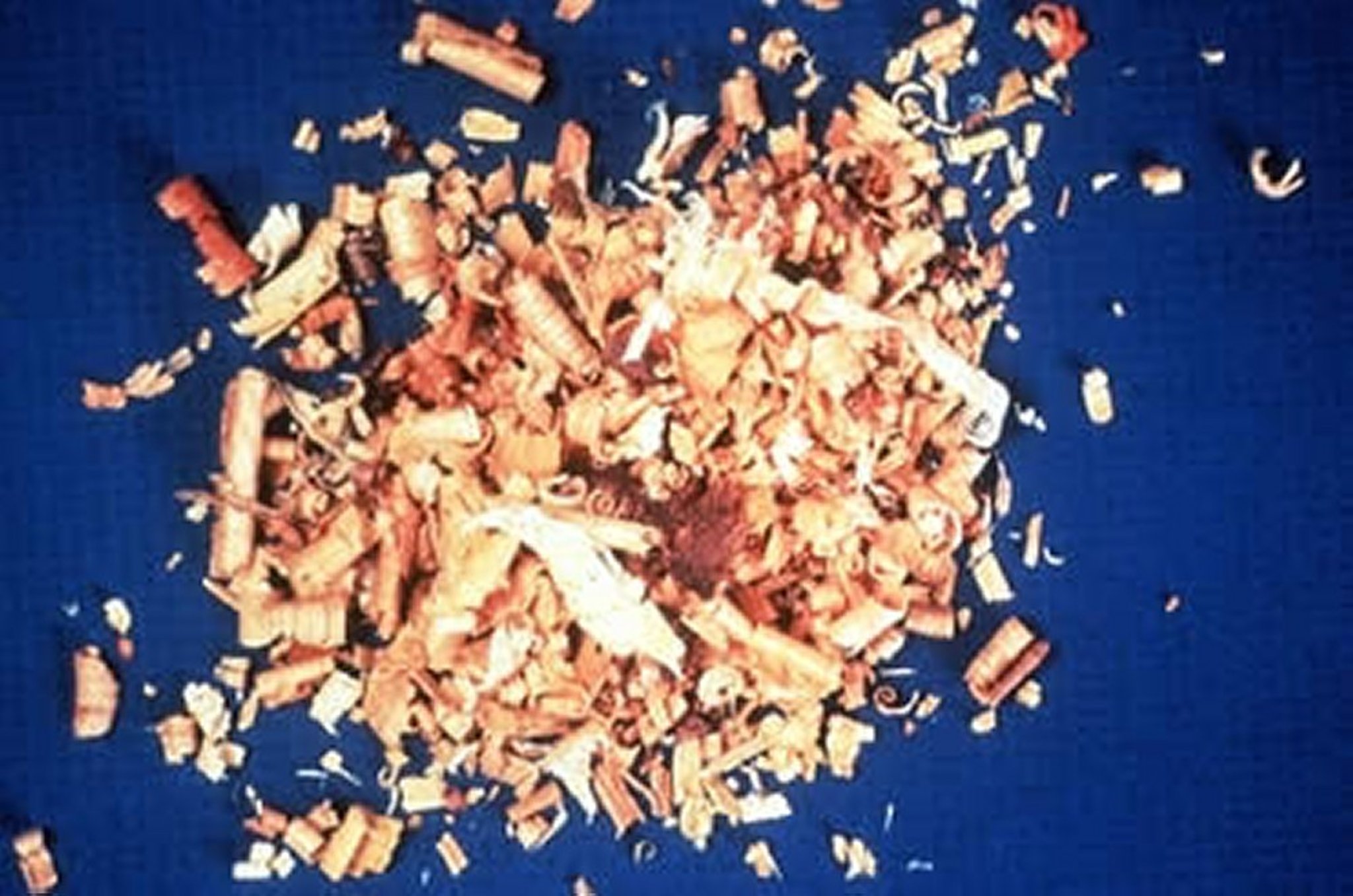 <i >Juglans nigra</i> (Black Walnut), shavings