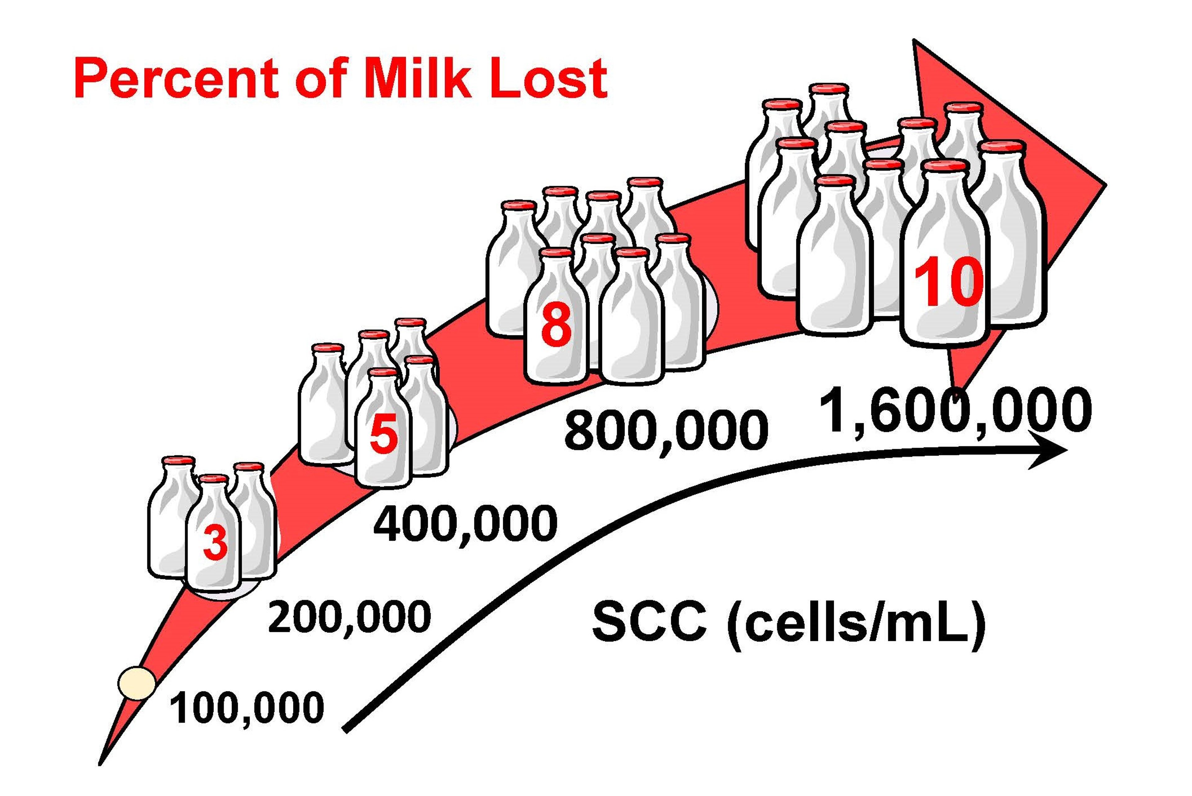 Milk loss and somatic cell counts