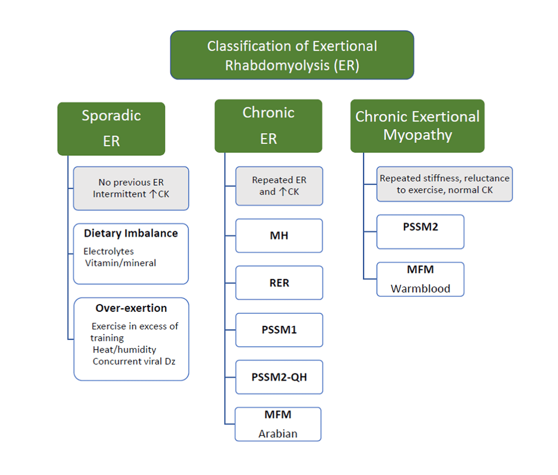 Classification of exertional rhabdomyolysis, horse