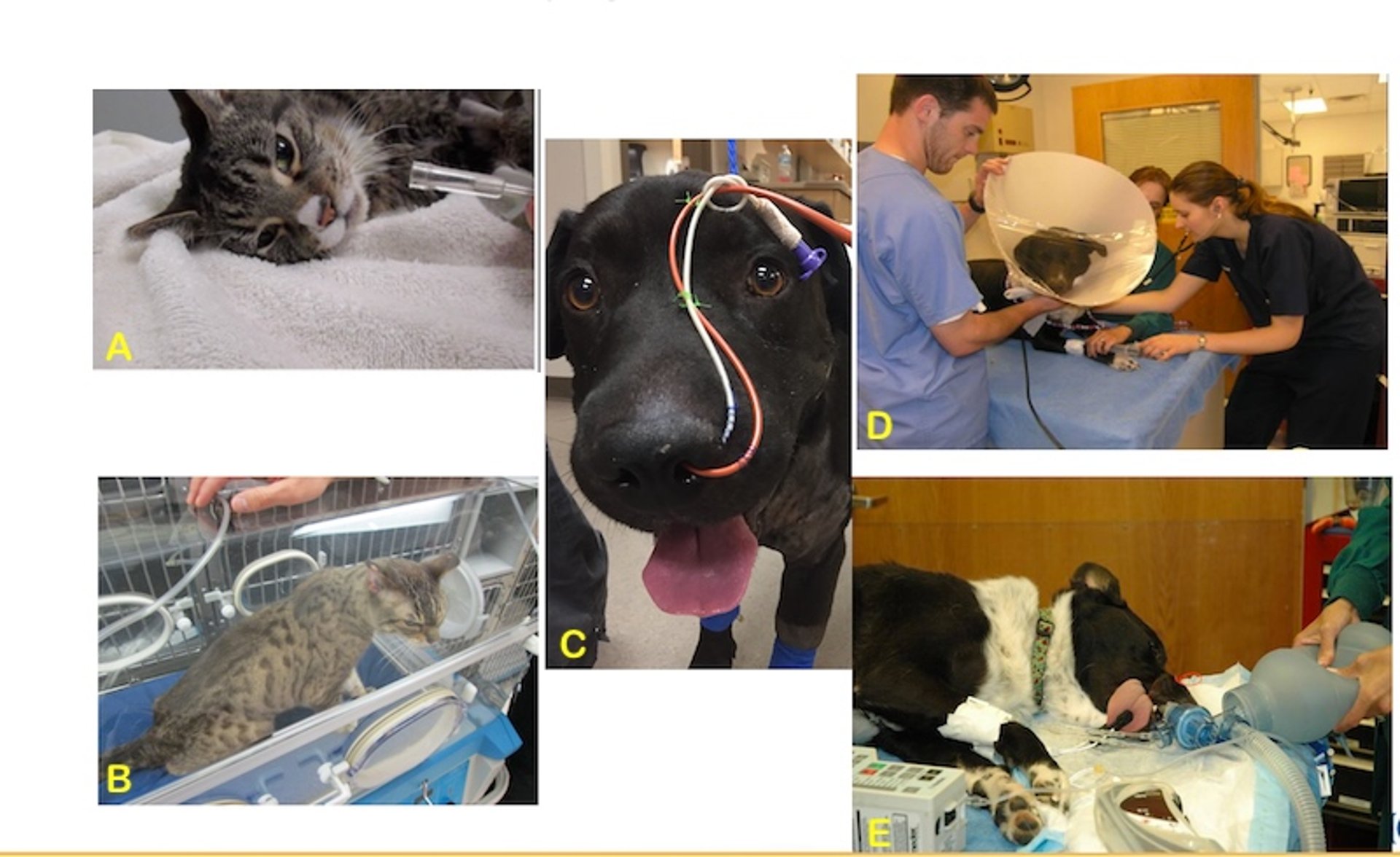Methods of oxygen administration