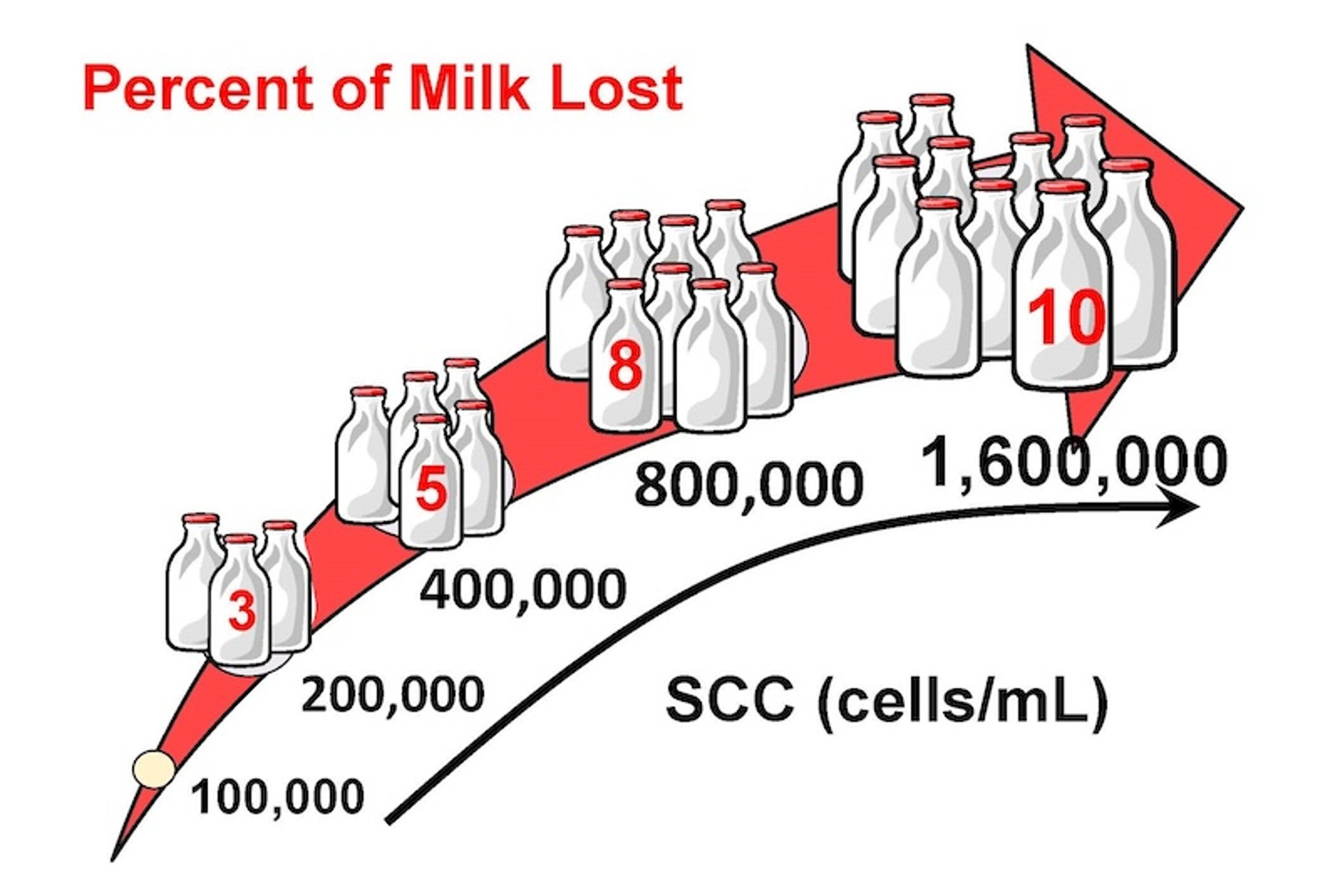 Milk loss and somatic cell counts, cows
