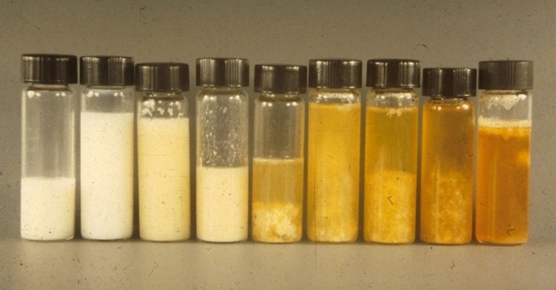 Muestras de leche, bacterias coliformes, vaca