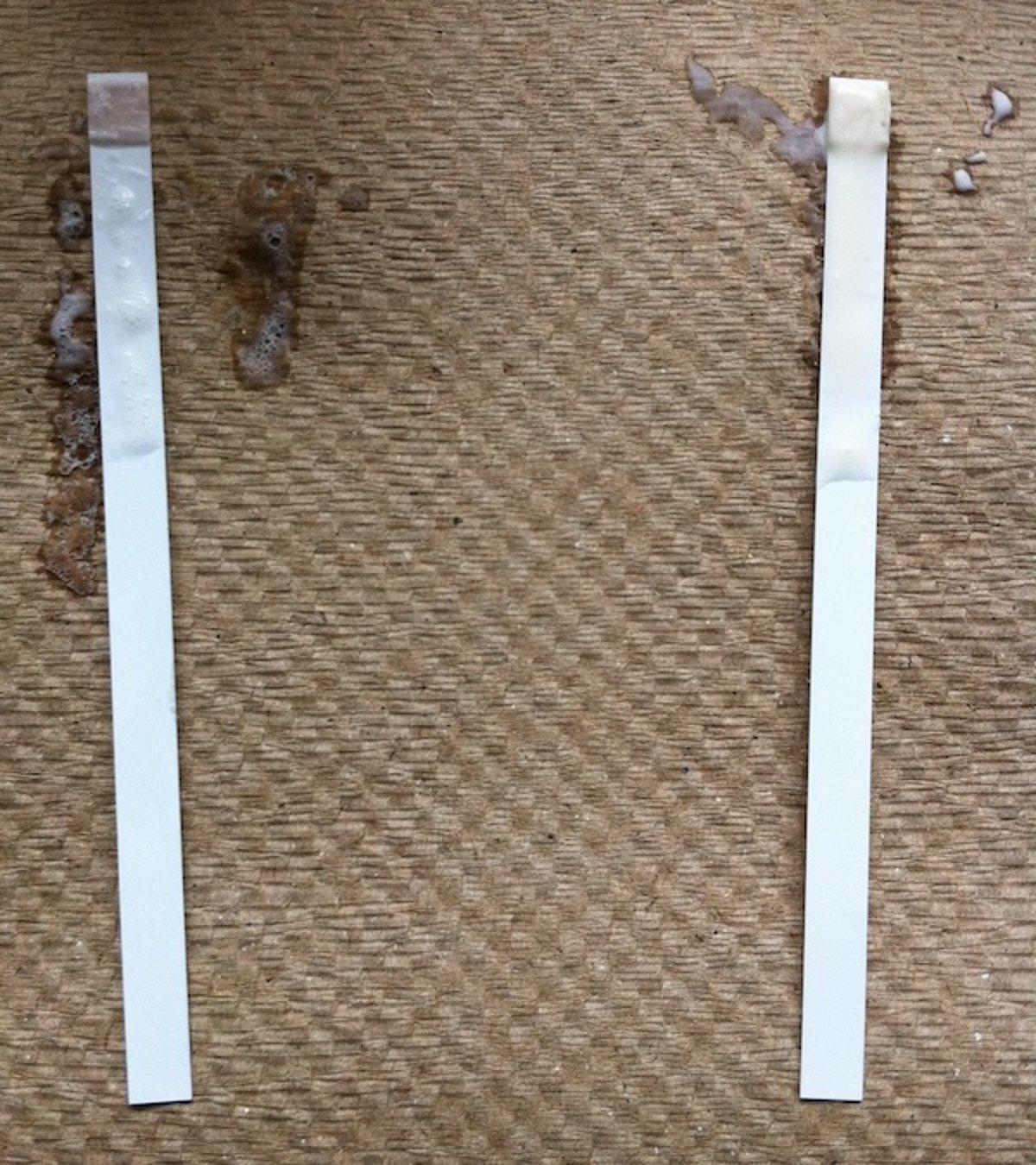 Prueba de cetosis en leche, vaca