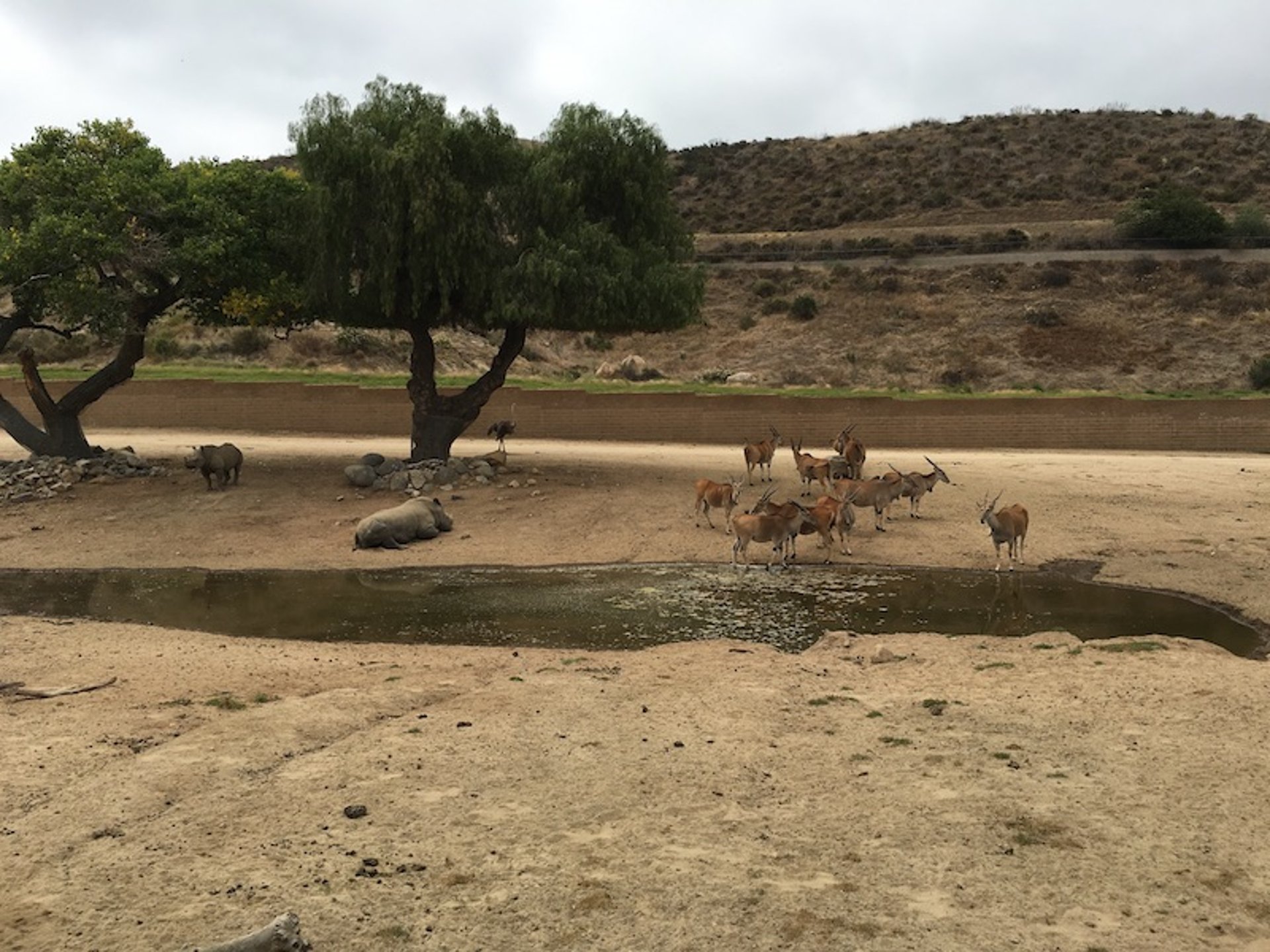 Hábitat de especies mixtas, zoológico