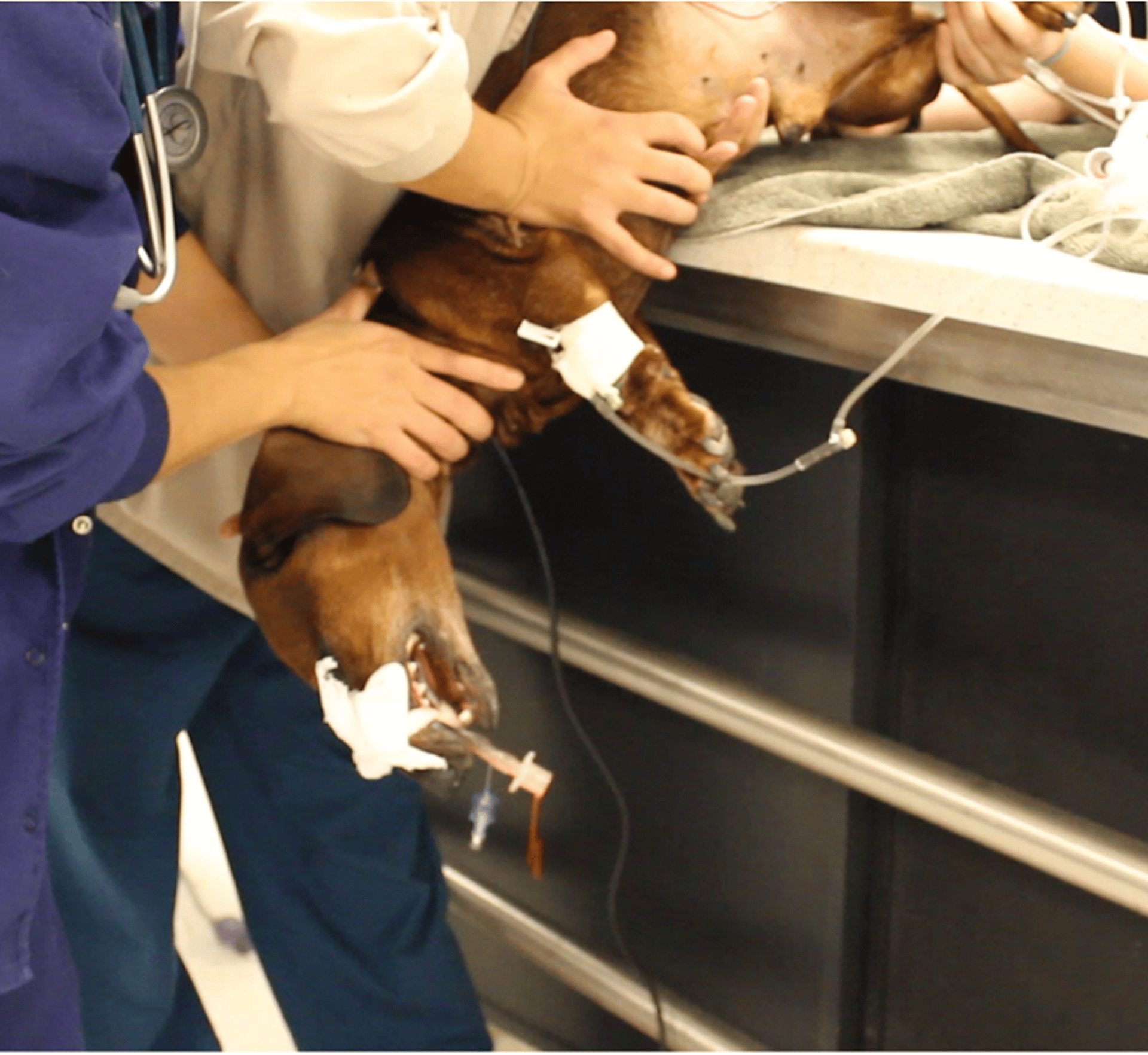 Postural drainage