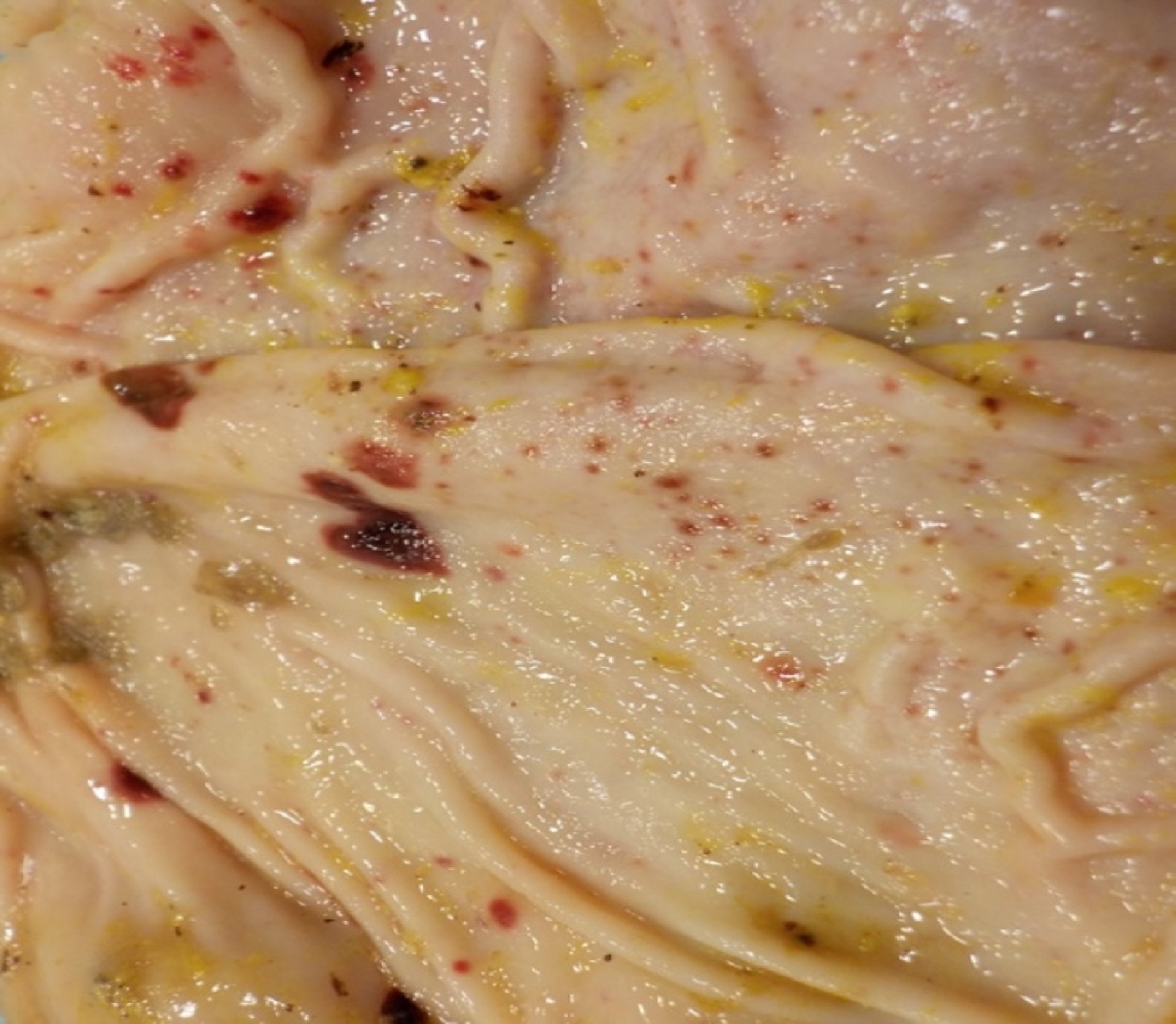Petechial hemorrhages, stomach mucosa, swine