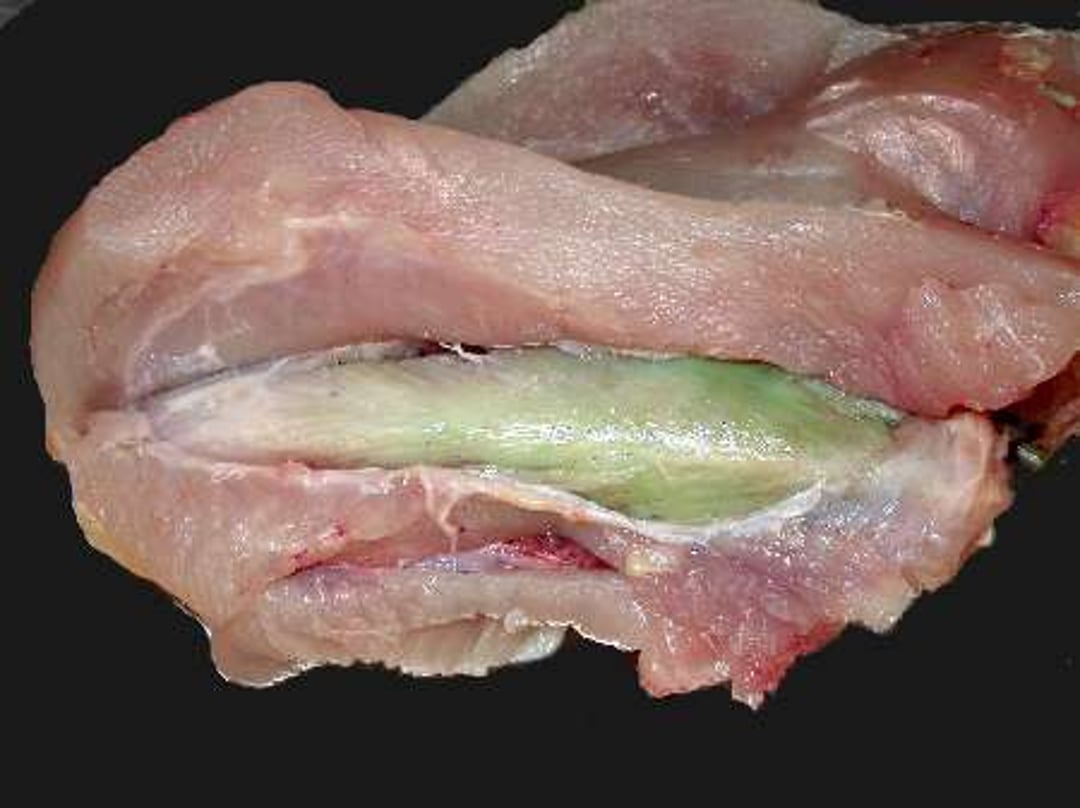 Miopatía del pectoral profundo, ave