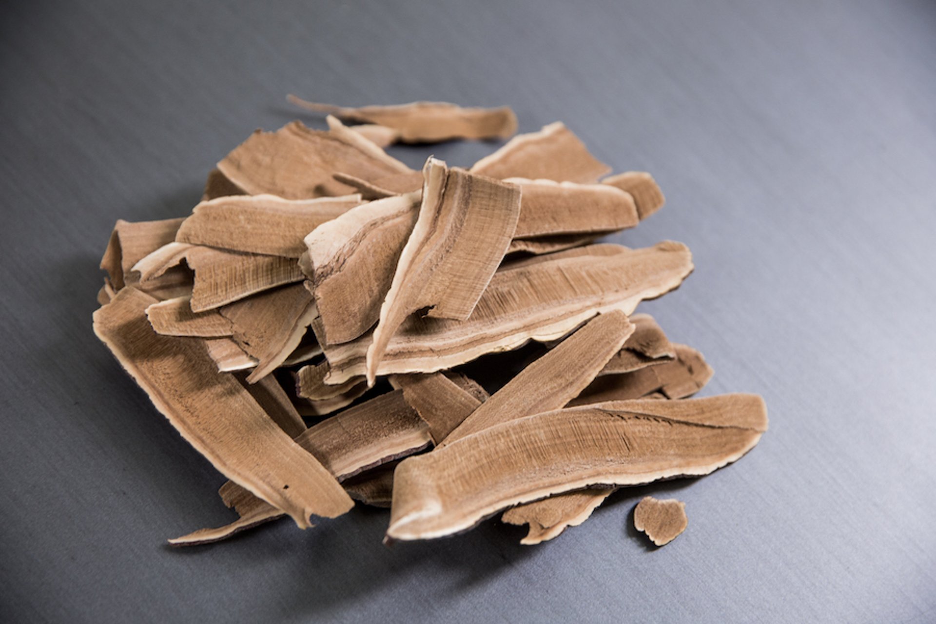 Sliced, dried reishi (<i >Ganoderma lucidum</i>) mushroom
