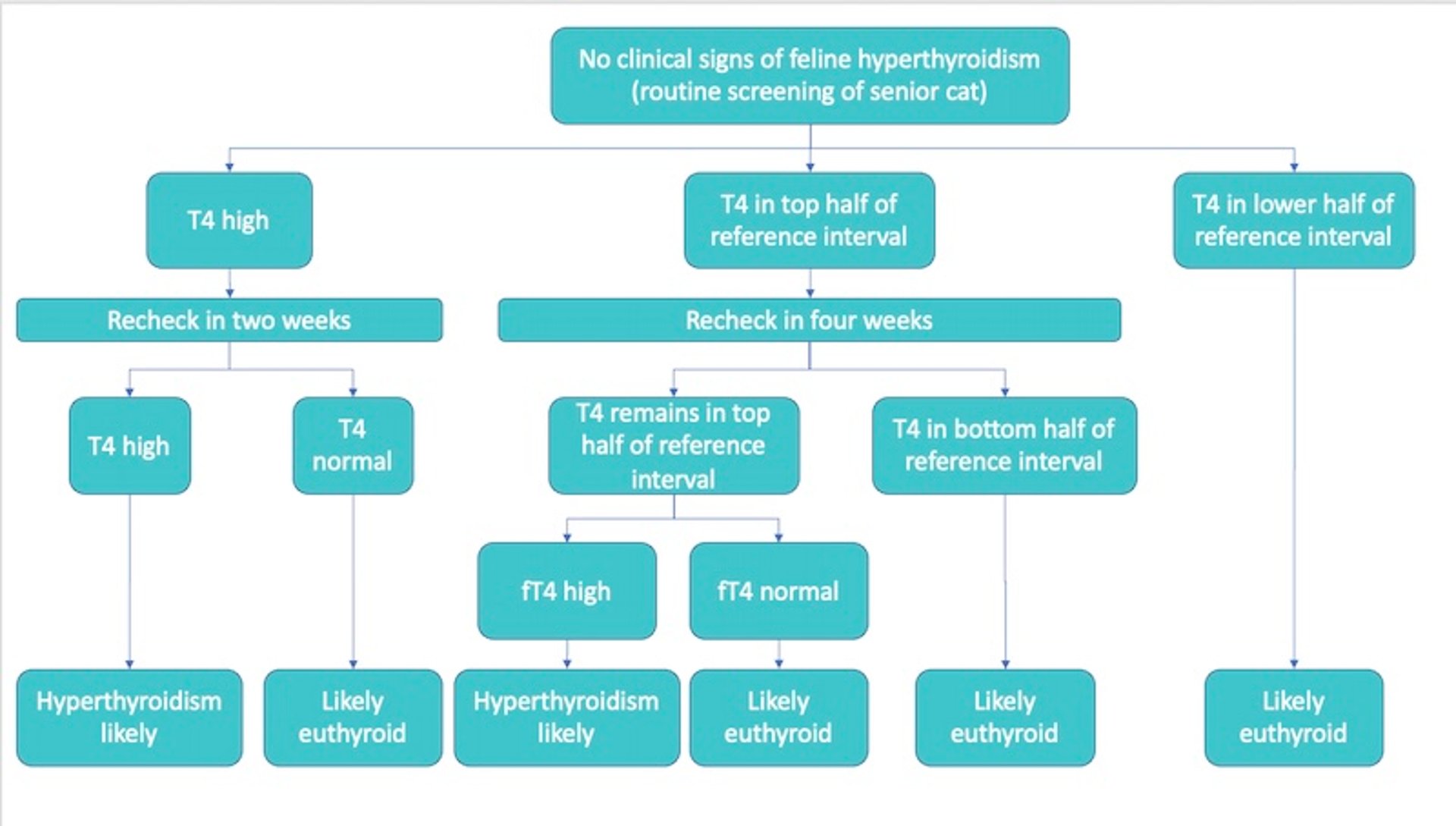 Routine thyroid testing, cats