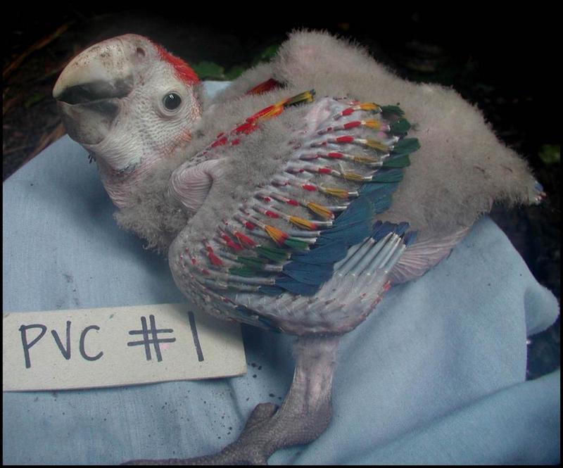 www.merckvetmanual.com