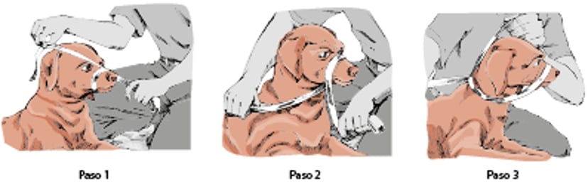 Bozal temporal para perro