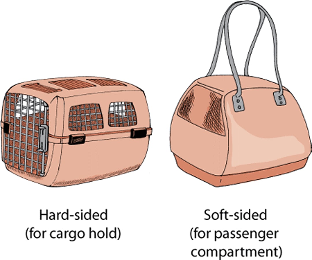 Pet carriers