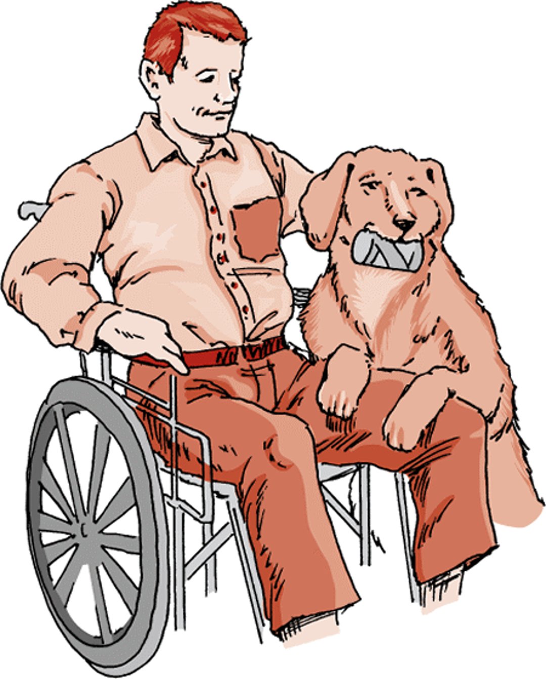 Service dog