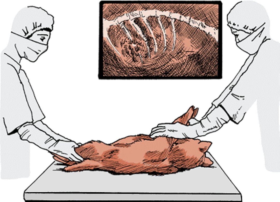 Radiographs, table
