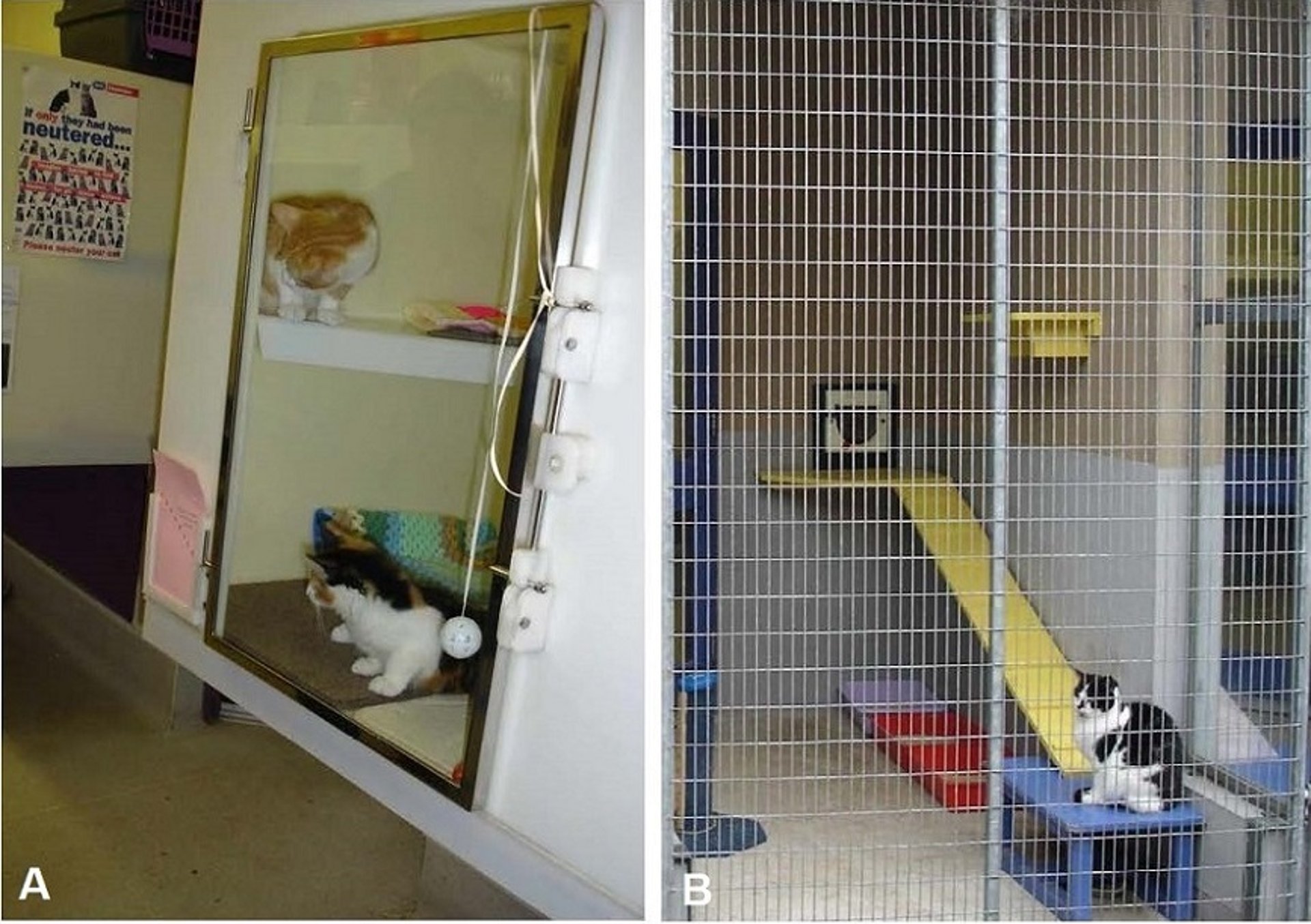 State-of-the-art rescue shelter design minimizes infectious disease