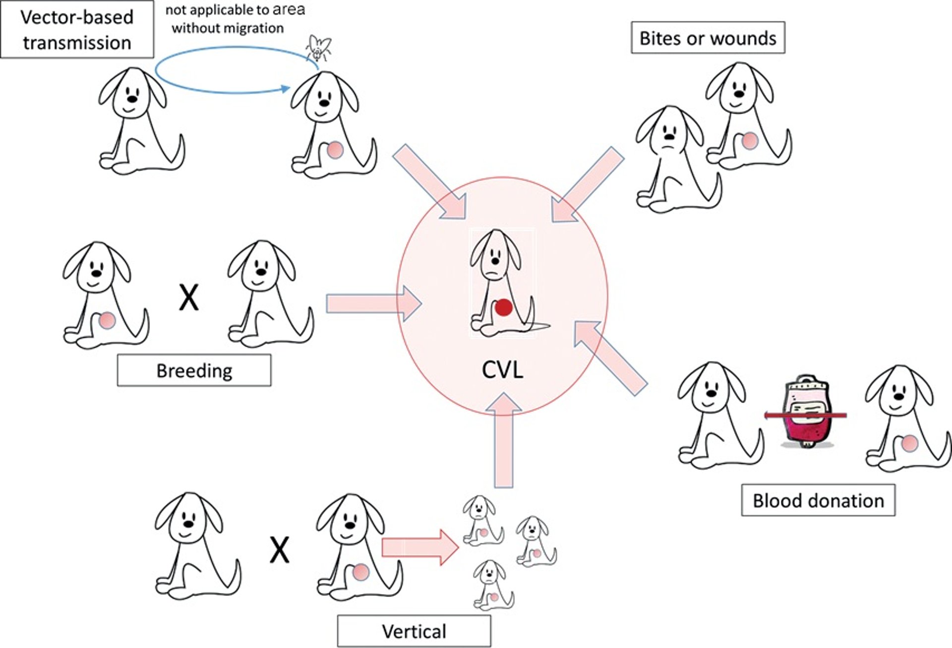 Modos de transmisión de <i >Leishmania</i>