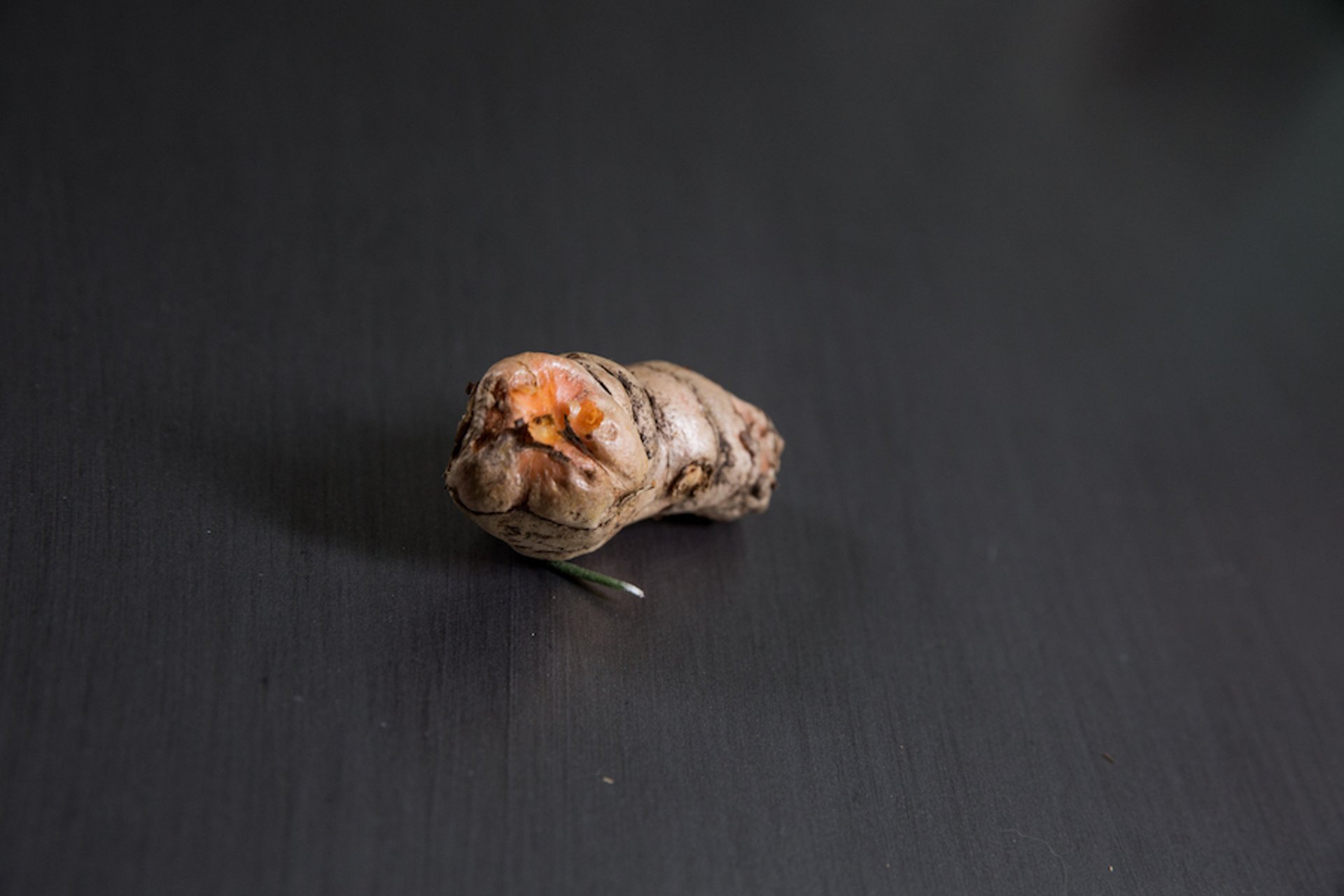 Rizoma de cúrcuma (<i >Curcuma longa</i>)