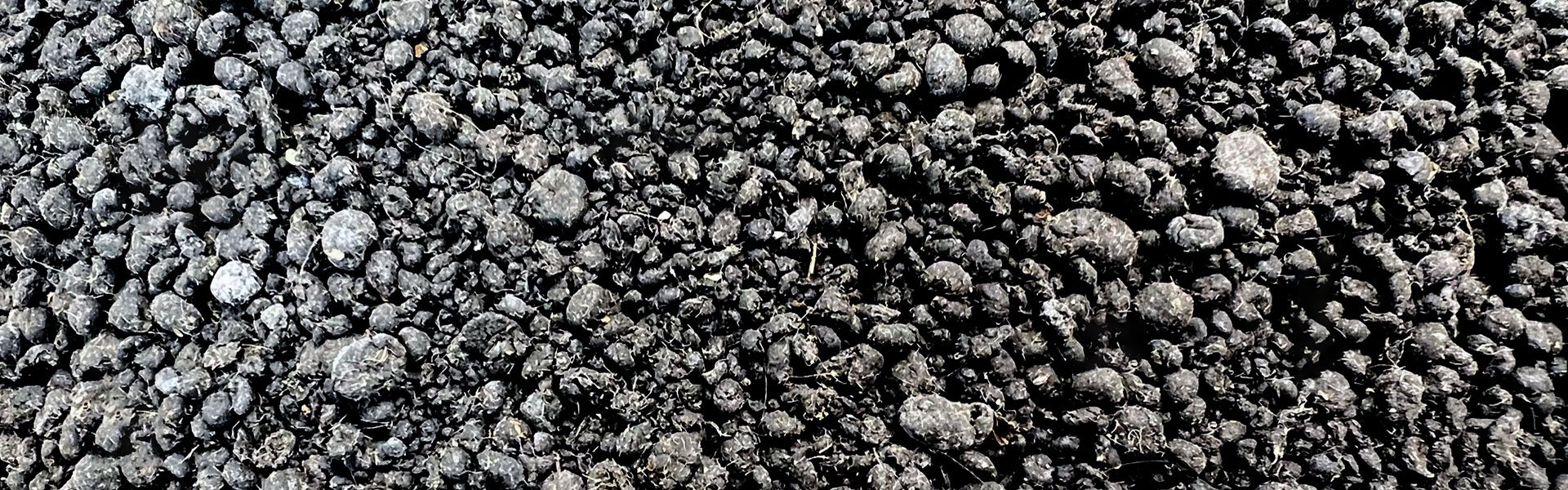 Dried Sludge Output