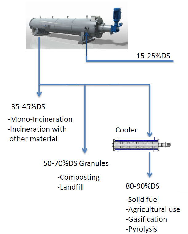 Thin film sludge dryer process