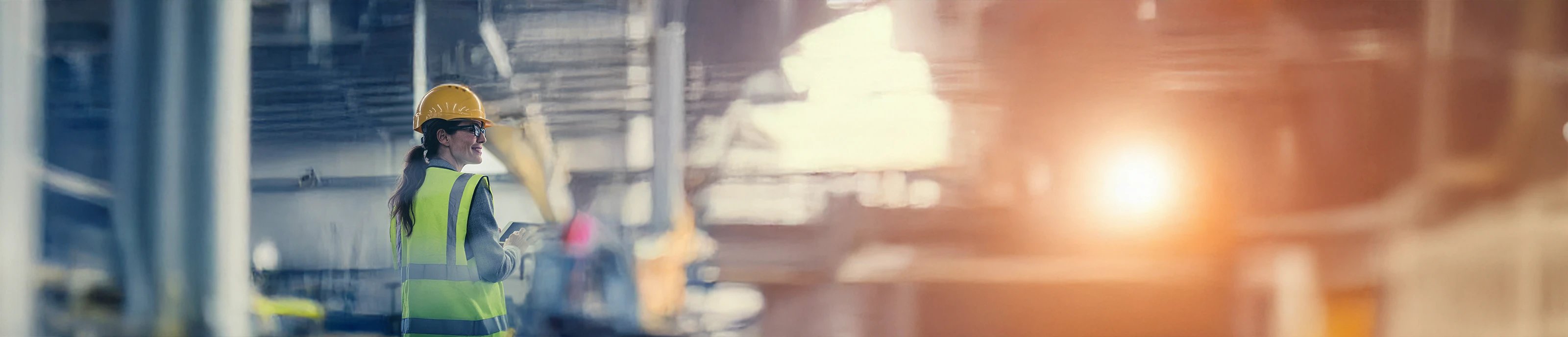 Combustible Dust Analysis