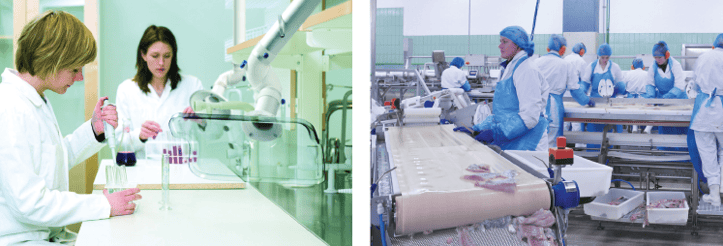 Filtros Nederman de carvão ativado