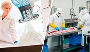 Necessidade de controle de partículas e odores para evitar contaminação e preservar padrões de higiene. | Saiba mais | Nederman