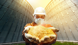 Instalada em pontos de carga/descarga, evita acúmulo de poeira e reduz riscos de explosão. | Saiba mais | Nederman