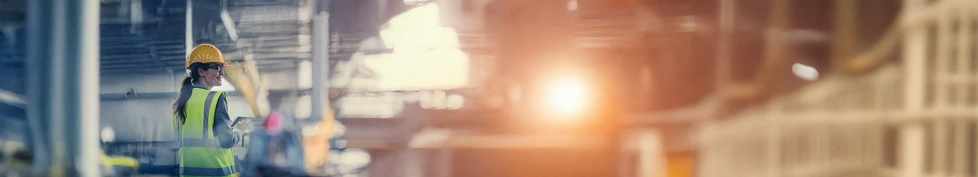 Combustible Dust Analysis