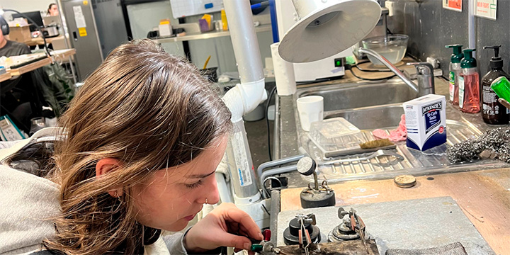 Case study Linden Cook