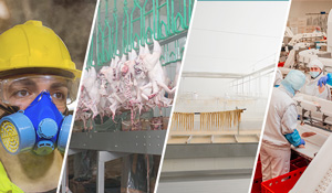 Os filtros de carvão ativado se destacam também pela sua versatilidade. Eles podem ser utilizados em uma ampla variedade de setores industriais, desde a produção de medicamentos e alimentos até a manufatura de produtos químicos e metais.  | Saiba mais | Nederman