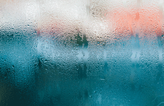 Humidity Control with Luwa Air Engineering Systems