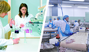 Essa eficiência é particularmente valiosa em indústrias onde a qualidade do ar impacta diretamente a segurança do produto final, como na fabricação de medicamentos ou alimentos. | Saiba mais | Nederman