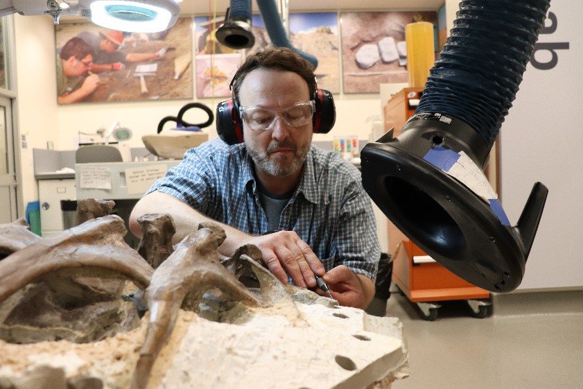Fossil preparation at Smithsonian FossiLab