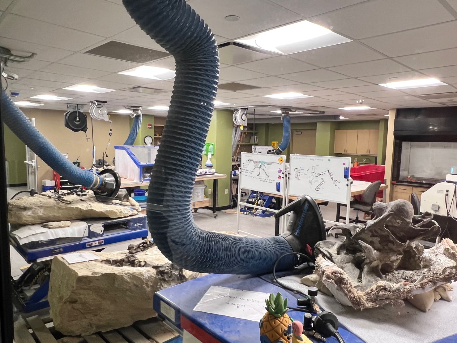 Paleo preparation laboratory at The Children’s Museum of Indianapolis