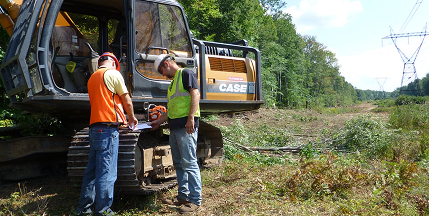 NYPA vegetation experts review plan before Continuing operation