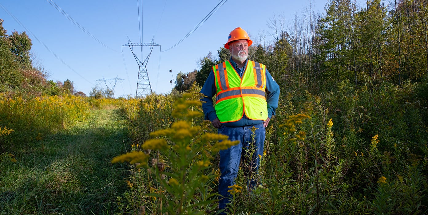 NYPA vegetation experts standing in the area